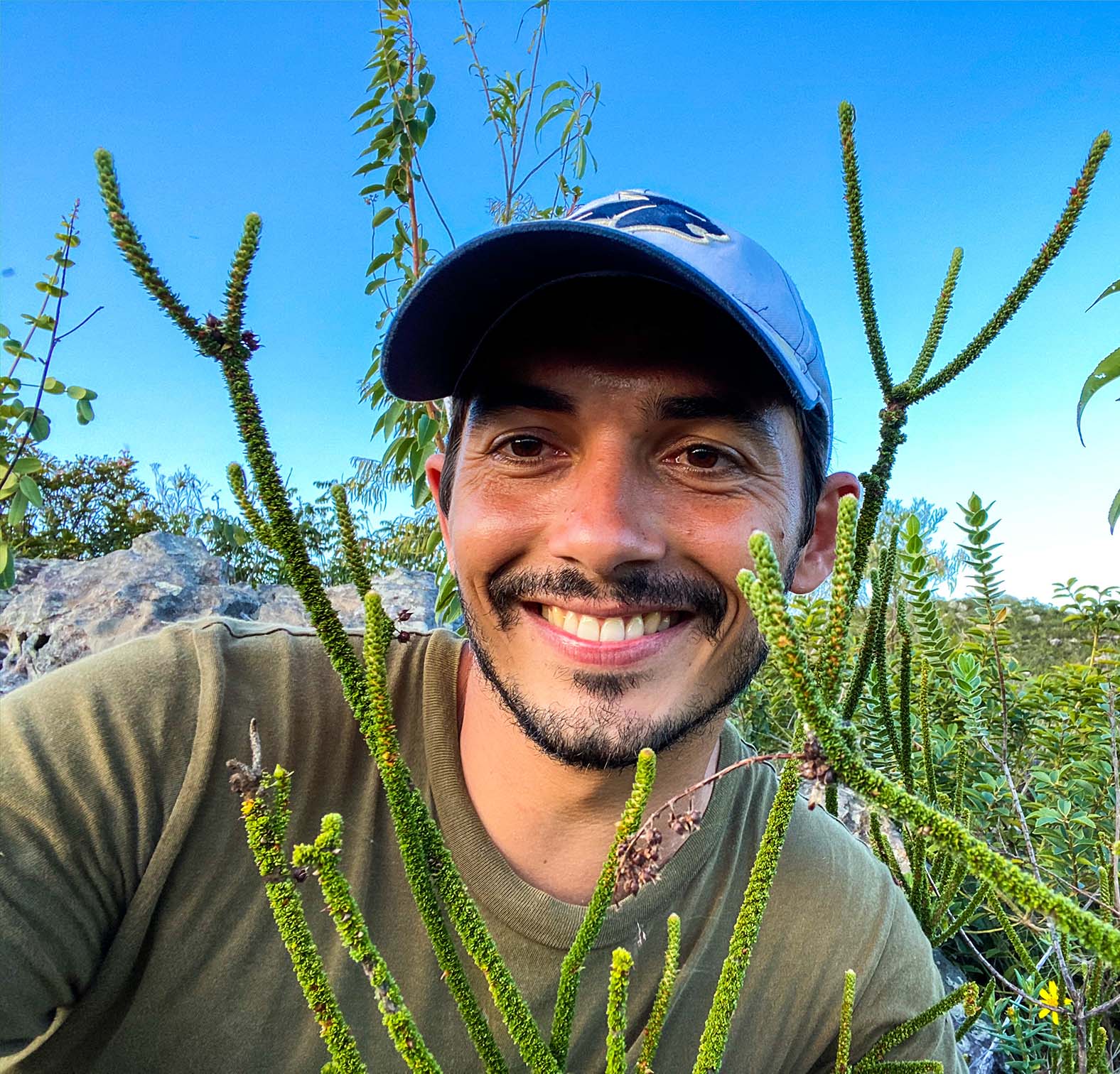 Domingos Cardoso