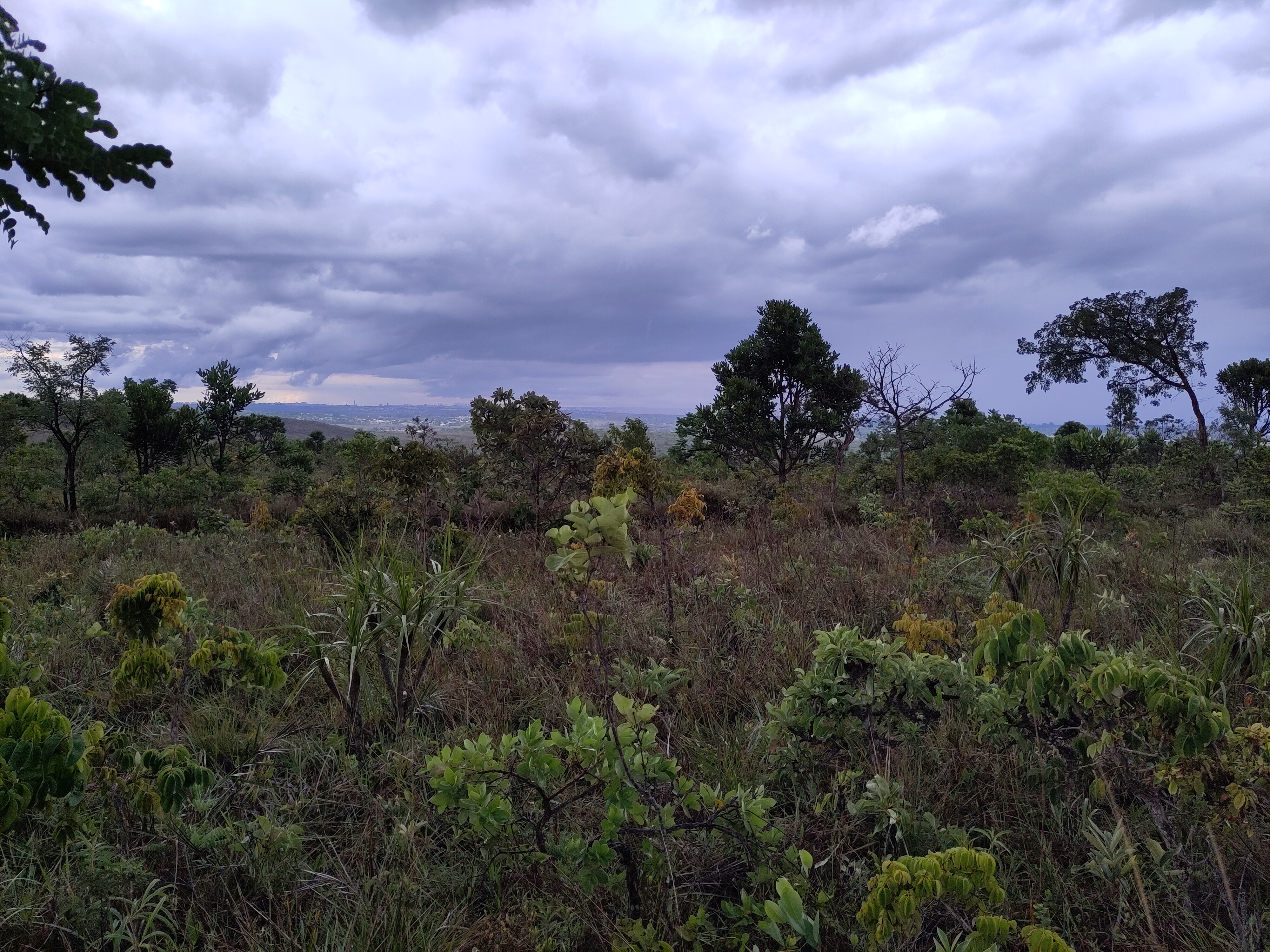 Cerrado landscape under changing weather